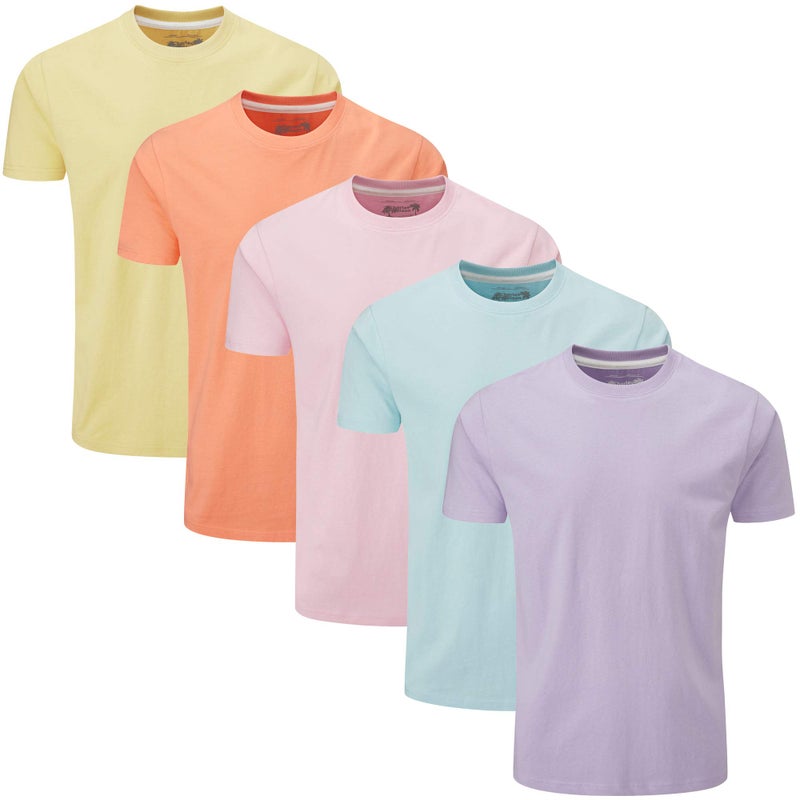 Charles Wilson Men's 5 Pack Midweight Crew Neck T-Shirt (Large, Summer Essentials) - Image 5