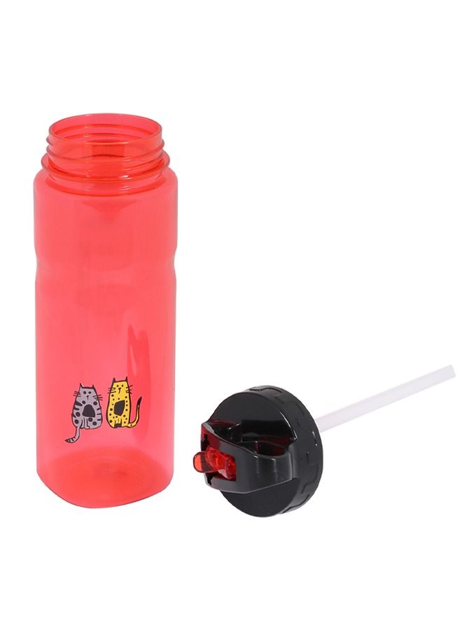 Biggdesign Cats Design Tritan Water Bottle, Robust, Easy to Clean, Leak proof Lid, 650 ml Red - Image 3