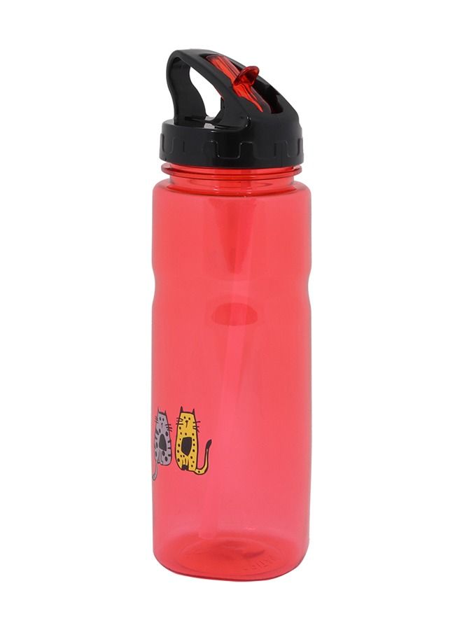 Biggdesign Cats Design Tritan Water Bottle, Robust, Easy to Clean, Leak proof Lid, 650 ml Red - Image 2