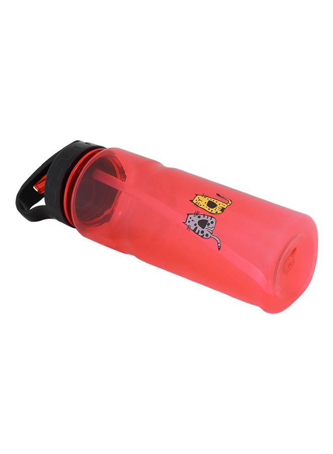 Biggdesign Cats Design Tritan Water Bottle, Robust, Easy to Clean, Leak proof Lid, 650 ml Red - Image 4