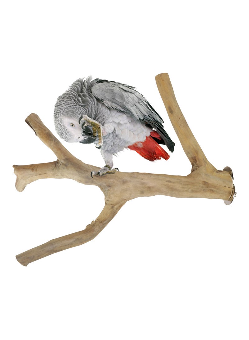 CHEWY BEAK Birds wooden perch solid java wood stick for cockatoo parrots and african grey parrots suitable for all bird cages - Image 1