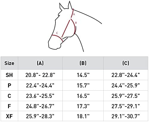 horze هارزي طوق خيل قابل للتعديل عالي الوضوح عاكس لركوب الخيل في الليل برتقالي - Image 2