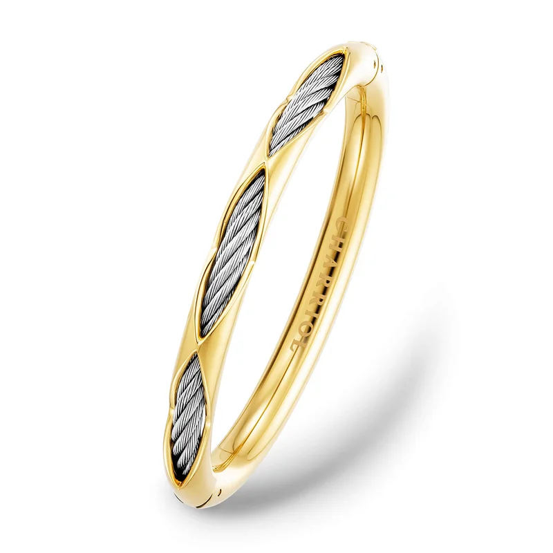 شاريول Bangle Steel Yg Pvd Dream Steel Cable -L Q324