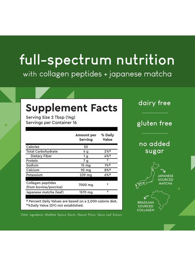 360 Nutrition مسحوق ببتيدات الكولاجين المهدرج ماتشا، شاي ماتشا الأخضر الياباني لصحة الأمعاء، دعم المفاصل، الطاقة، الشعر، البشرة والأظافر، خالي من الجلوتين، مناسب للكيتو، باليو، غير معدل وراثياً (8 أونصة (1 عد)) - Image 2