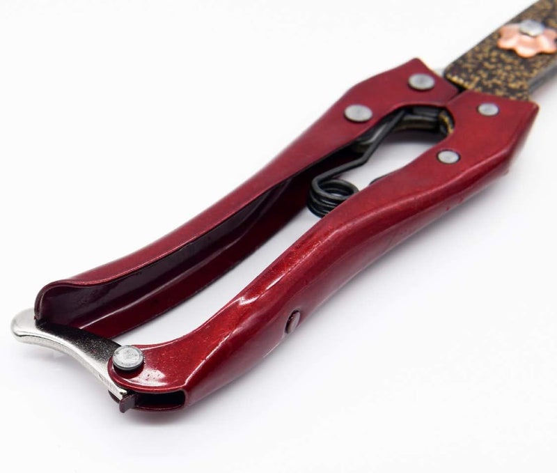 LCDCM Grass Shear Sheep Shear Alpaca Shear - Coated Wear-Resistant Handle, Manganese Steel Double Blade, Strong Spring Suitable For Cattle And Sheep and Horse Hair Hand-Cut (Red 10.2 inches) - Image 3