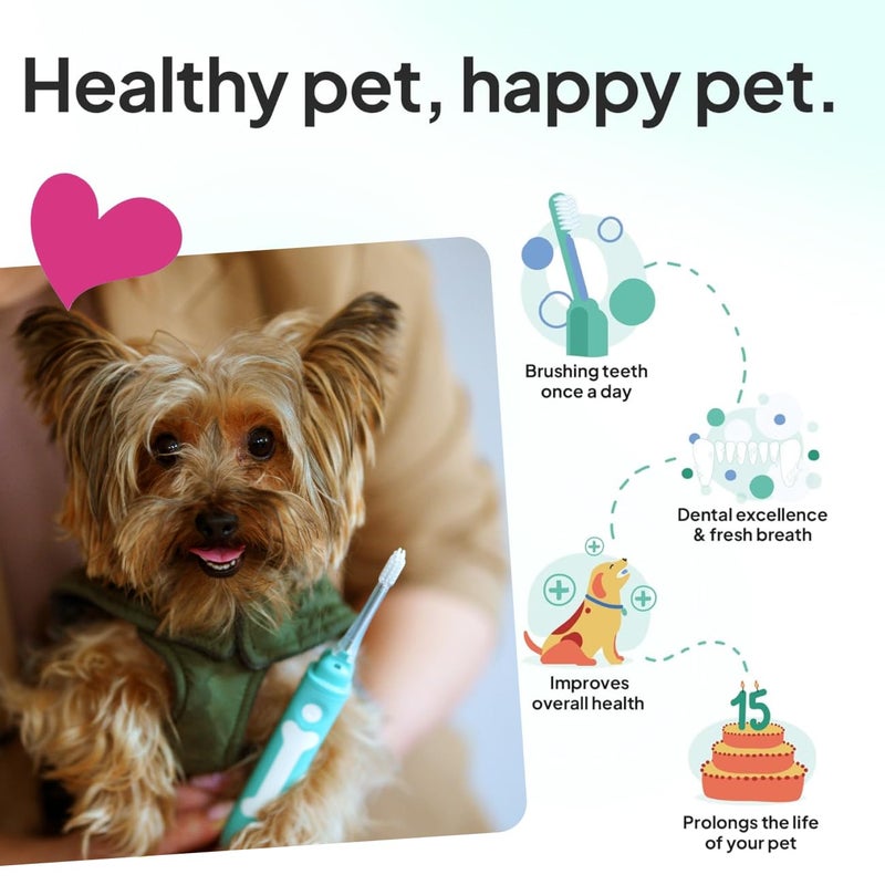 petsie Dog Toothbrush | Innovative Eletrolytic Technology | Improves Oral Health & Reduces Bad Breath | No Vibrations & Silent Teeth Cleaning Brush | No Toothpaste Needed | Dog Teeth Cleaning Kit - Image 4