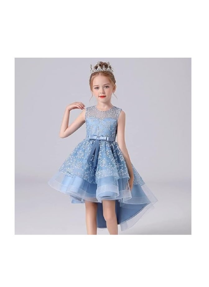 3D Embroidered Flowers Princess Lace Dress for Girls Birthday Party Prom Girl's Special Occasion Performances Host Evening Gown  - Image 2