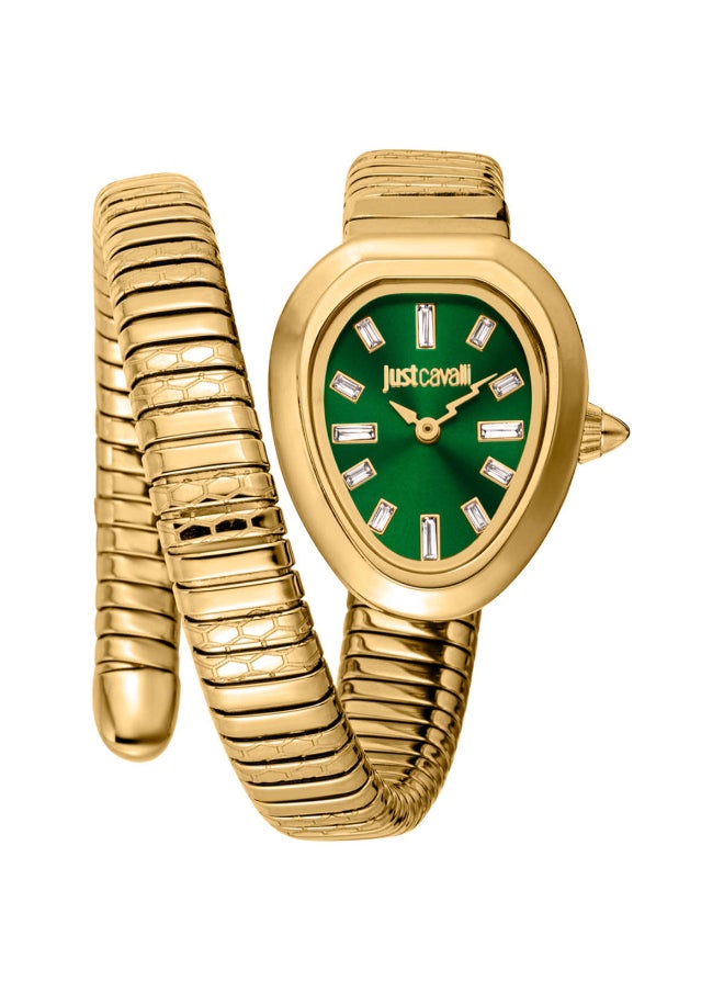 Just Cavalli Just Cavalli Women's Aversa Gold Tone Green Dial Quartz Watch - JC1L222M0035  - Image 1