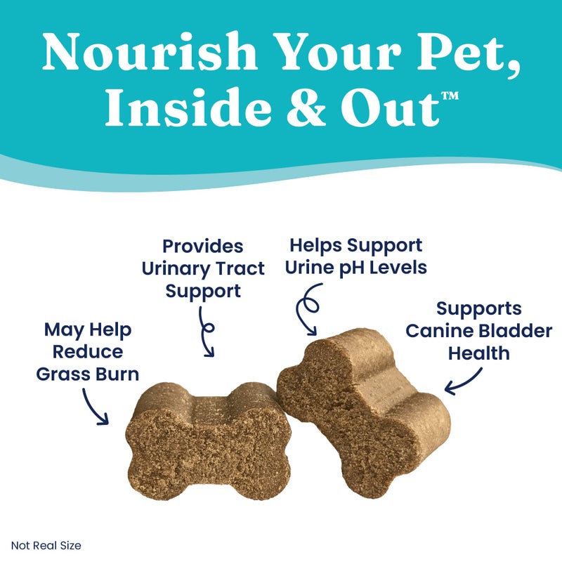 Solid Gold Dog Urine Neutralizer for Lawn Chews - Grass Guardian with Urinary Tract, Kidney, Bladder, and pH Support to Reduce Grass Pee Spots & Burn - 120 Count - Image 4