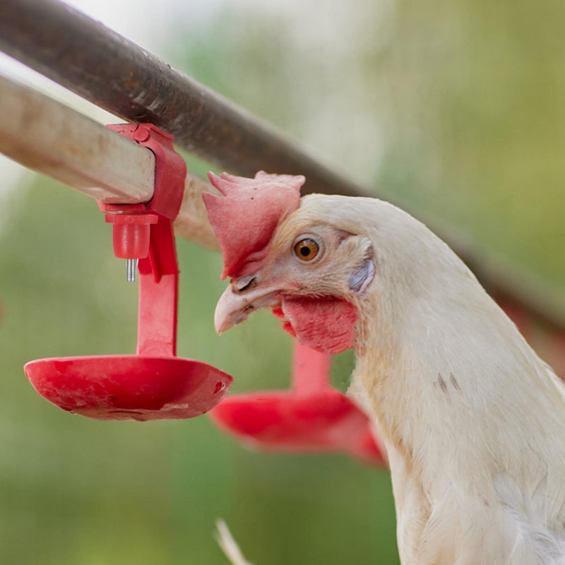 20 Pcs Automatic Poultry Chicken Water Nipple Drinkers for Coop Bucket Watering Equipment - Image 5