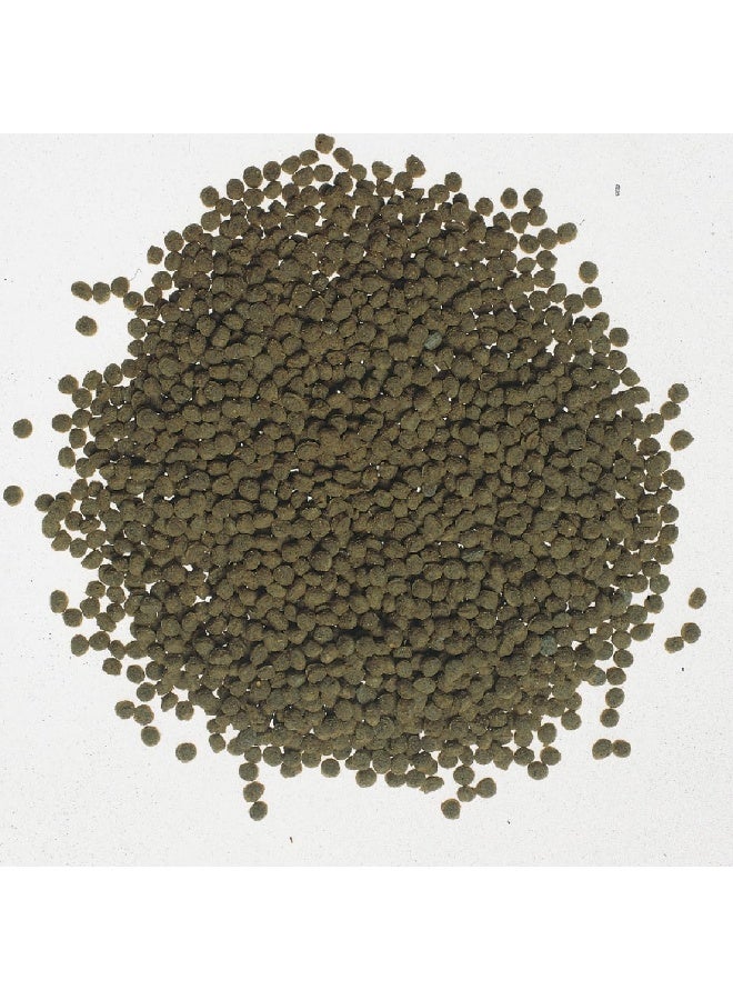 تترا Tetra Goldfish Gold Colour 250 مل، 75 جم طعام أسماك لحوض السمك، غذاء كامل معزز للألوان مع 6% سبيرولينا لجميع الأسماك الذهبية، حبيبات بطيئة الغوص، كاروتينات طبيعية - Image 3