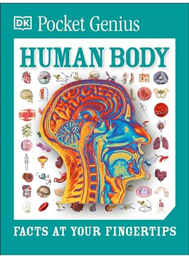 Human Body