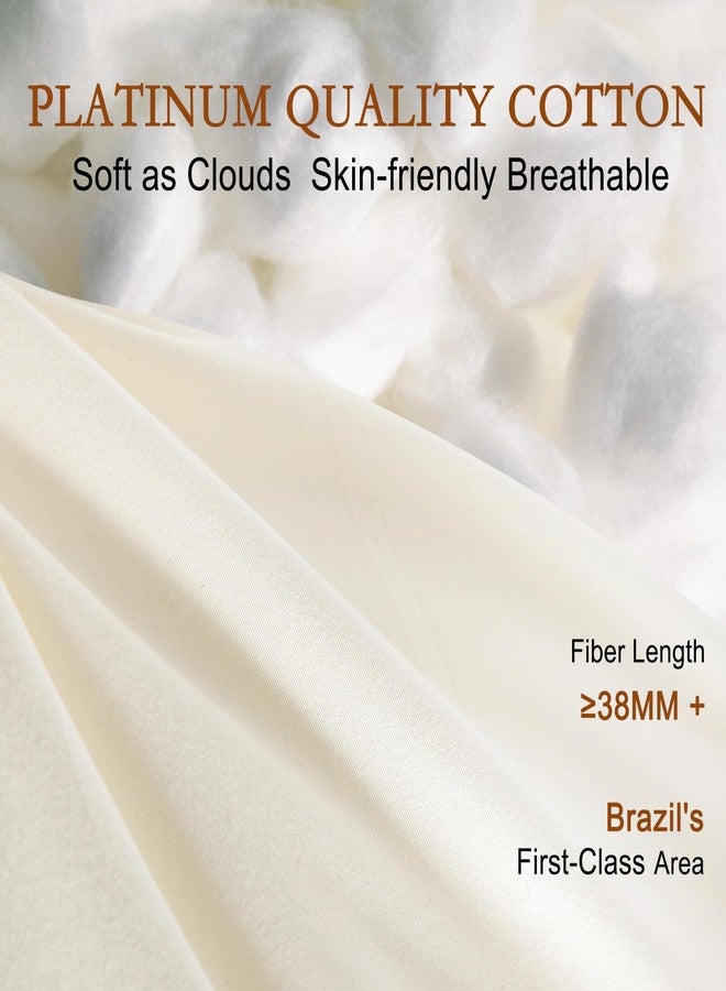YOUR MOON Soft Organic Wool Pillow Queen, Flat & Thin Wool Pillow for Sleeping, Low-Loft Bed Pillows for Back and Stomach Sleepers, Breathable Soft Cotton Cover(Off White) - Image 4