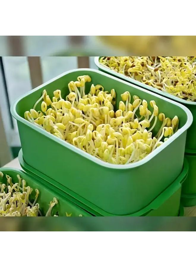 أواني زراعية بلاستيكية خضراء 10 قطع مع فتحات تصريف لزراعة الشتلات والنباتات الصغيرة، للاستخدام الداخلي والخارجي - Image 2