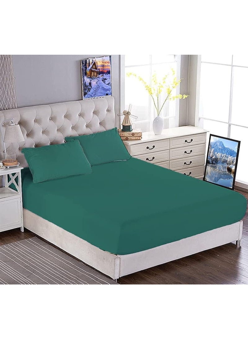 تى ام هوم ملاية  باستك من TM Home – قطن طبيعي 100%، 400 غرزة، جودة فندقية 5 نجوم - Image 3