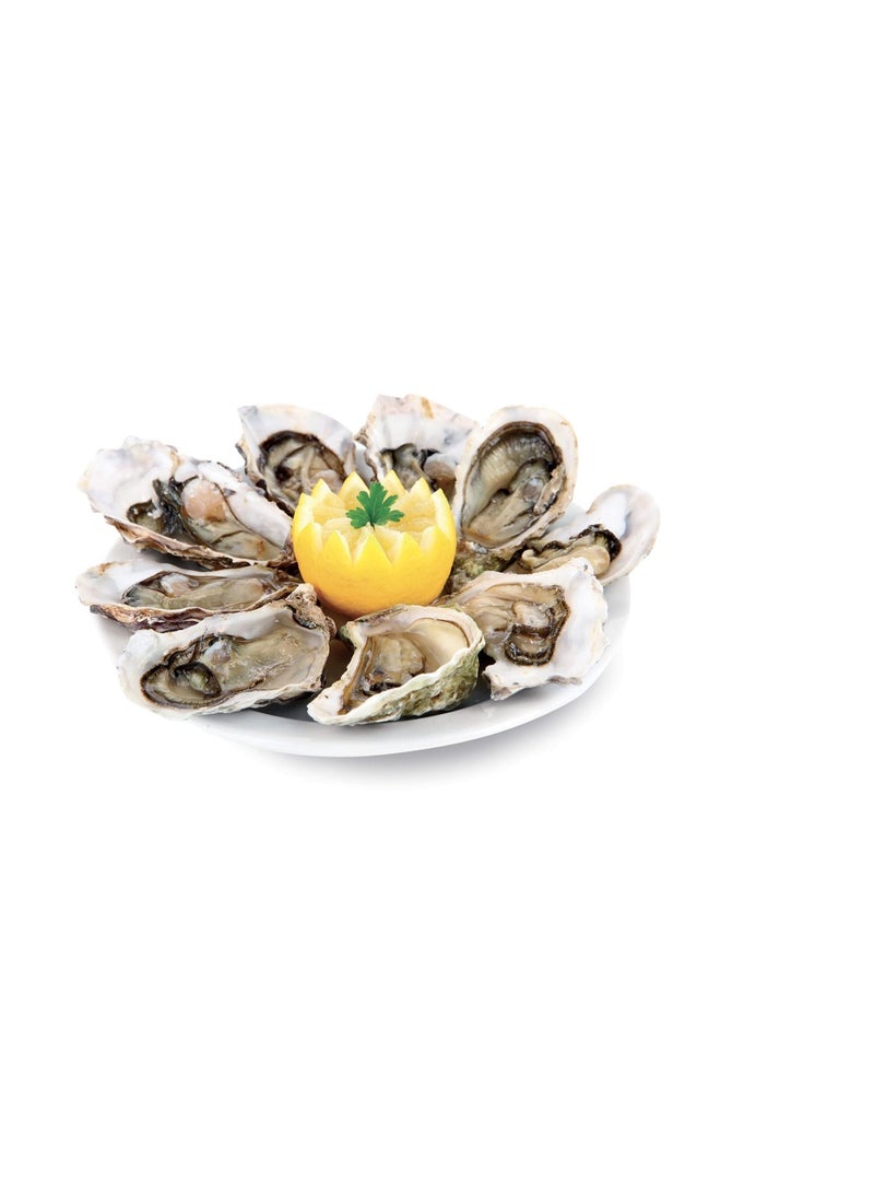 tescoma Oyster Knife - Image 4