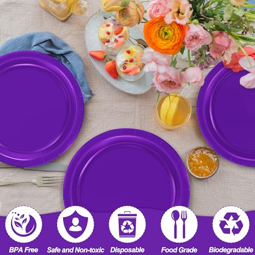 QZYL Disposable Paper Plates Set, 50 PCS Purple Dinner Paper Plates, Round 9 Inches Party Plates Pack for Daily Meal Picnic Anniversary Mardi Gras Carnival Festival Gathering Party Supplies - Image 3