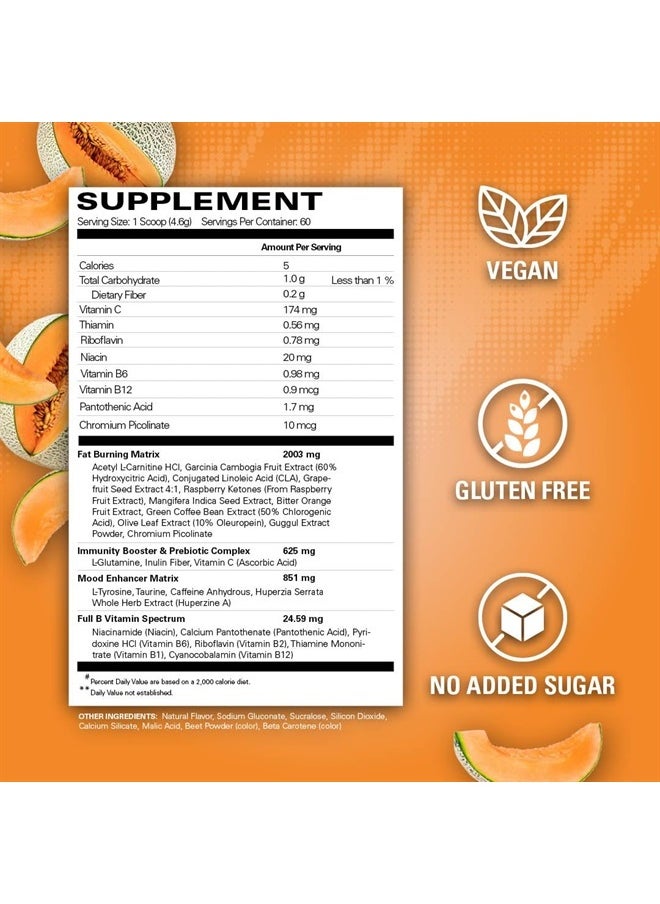 EHP Labs OxyShred Pre Workout Powder & Shredding Supplement - Preworkout Powder with L Glutamine & Acetyl L Carnitine, Energy Boost Drink - Wild Melon, 60 Servings  - Image 2