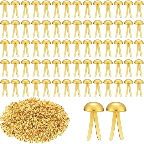 ADULLPONY 600Pcs Gold Brads Paper Fasteners 8x175mm Mini Brads Split Pins Round Head Brass Fasteners for Paper Crafts Supplies - Image 1
