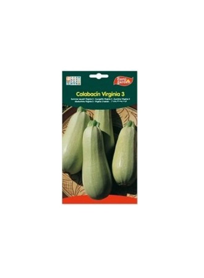 Euro Garden Calabacin Summer Squash Virginia Seeds