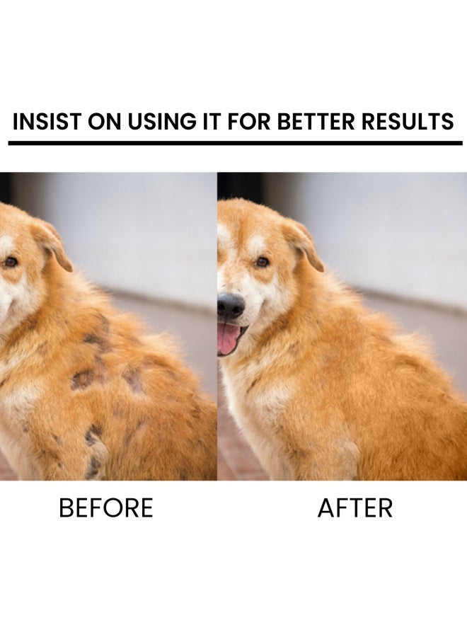 Yes Yegbong Pet Hair Growth Agent Cat And Dog Hair Conditioning And Maintenance Damaged Hair Follicles And Shedding Hair Care Spray - Image 3