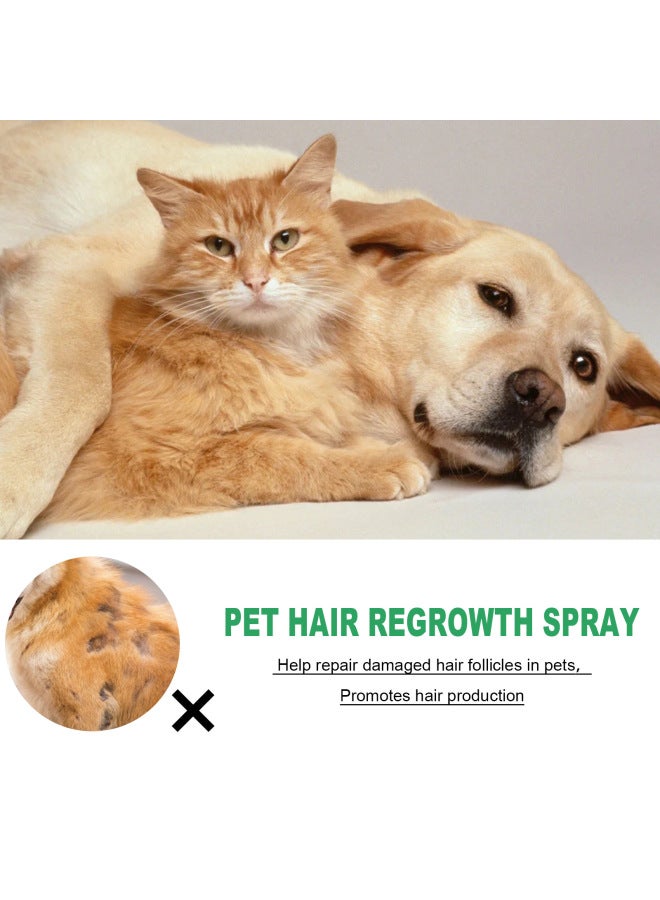 Yes Yegbong Pet Hair Growth Agent Cat And Dog Hair Conditioning And Maintenance Damaged Hair Follicles And Shedding Hair Care Spray - Image 2