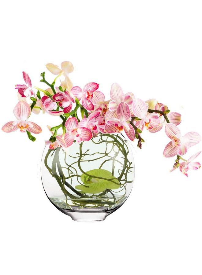 CYS EXCEL Glass Moon Vase Oval Bowl (H:10.25" L:11") ; Multiple Size Choices Round Flower Vase Centerpiece ; Plant Terrarium Bowl Vase - Image 1