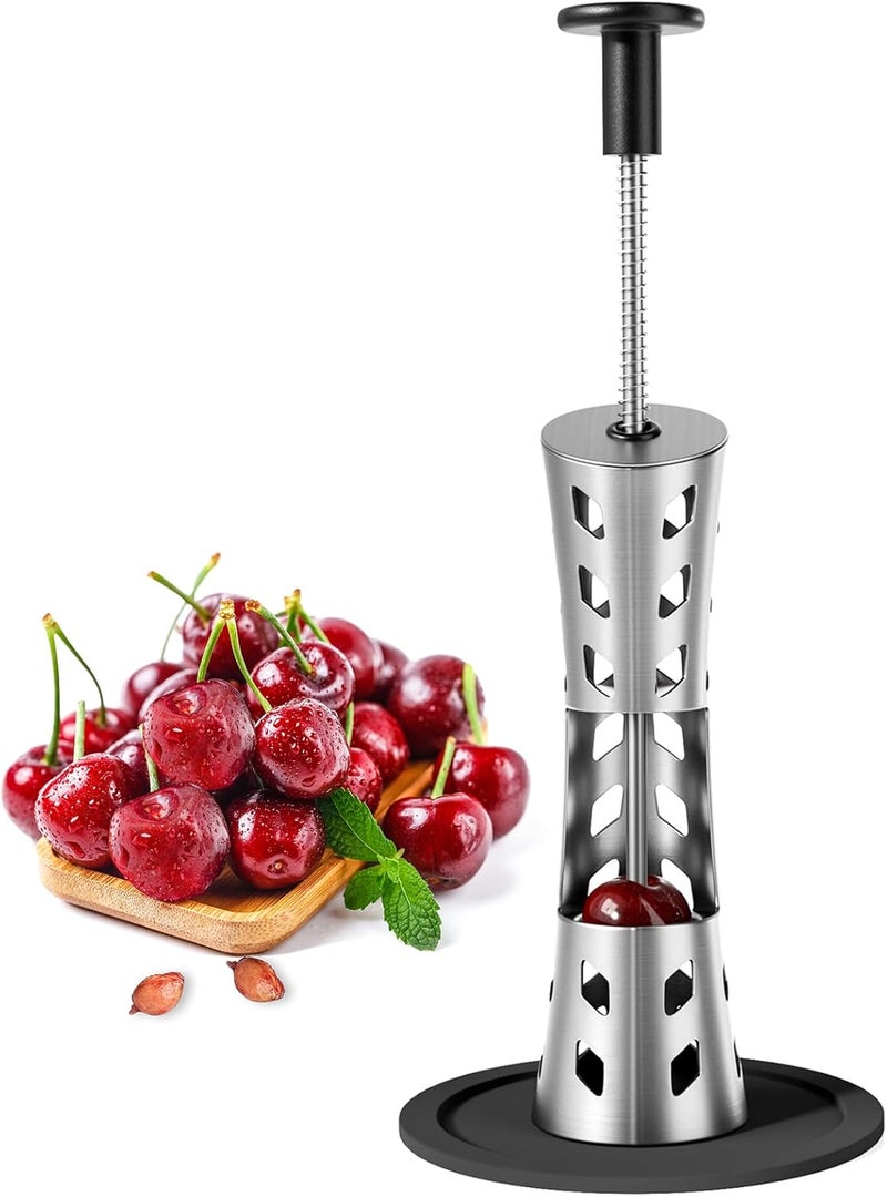 Newness Cherry Pitter, Premium Cherry Pitter Remover Tool, 304 Stainless Steel Cherry Seed Remover, Durable Cherry Stoner Fruit Pit Corer Deseeder Kitchen Tool, Press Type, More Labor Saving - Image 1