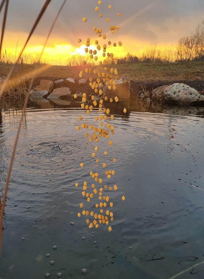 HALF OFF PONDS Show & Grow Koi Fish Food - 5 lb Floating Pellets, 5mm Size - Goldfish Food for Ponds - 35% Protein with Beta Carotene & Vitamins - Enhances Color Vibrancy & Body Definition - Image 5