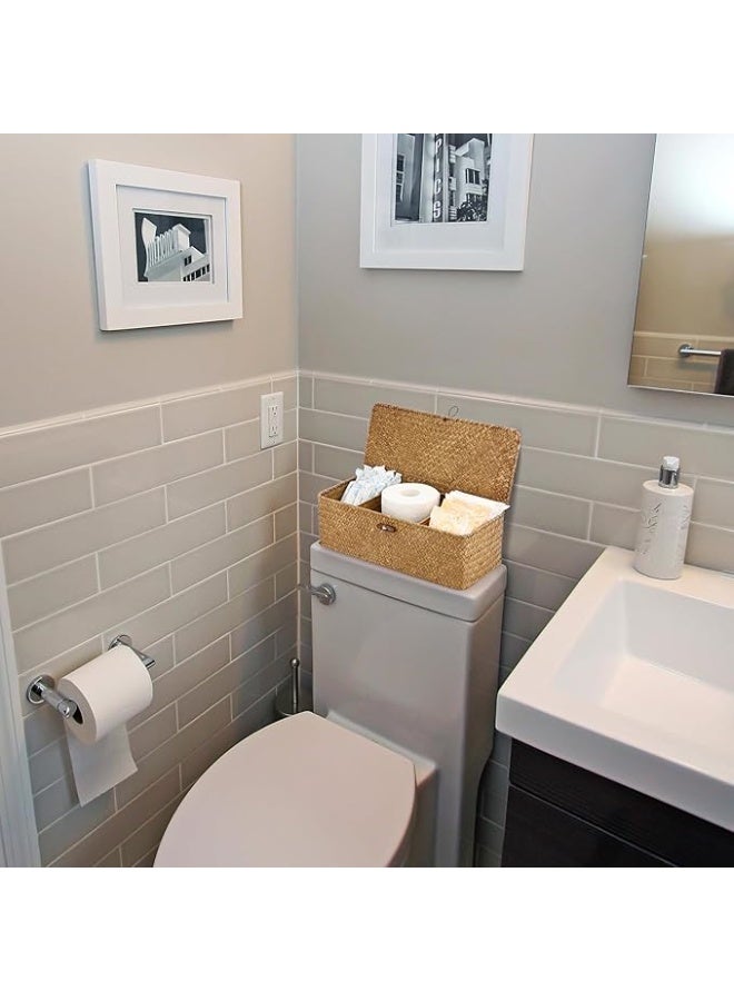 Arabest Seagrass Storage Basket with Lid Rectangular Small Woven Shelf Baskets with Sections for Organize Snack Toys Tampon - Image 3