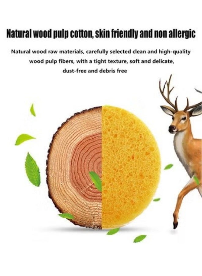 3 قطع اسفنجة تنظيف الوجه، التنظيف العميق امتصاص الماء الجيد سهولة الحفاظ على اللمسة الناعمة، القدرة على إزالة بقايا الأوساخ من الجلد والحفاظ على نظافة الجلد - Image 2