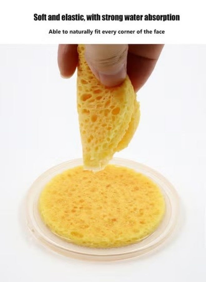3 قطع اسفنجة تنظيف الوجه، التنظيف العميق امتصاص الماء الجيد سهولة الحفاظ على اللمسة الناعمة، القدرة على إزالة بقايا الأوساخ من الجلد والحفاظ على نظافة الجلد - Image 3