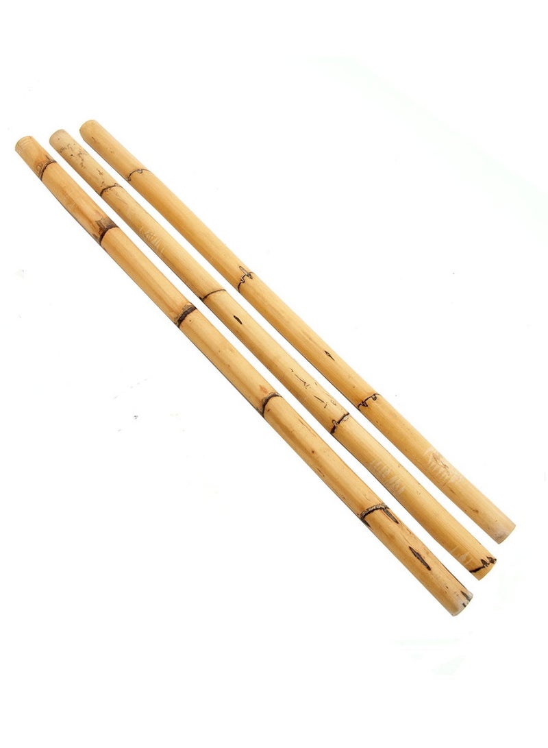 Generic FFD Bamboo Poles Bamboo Stake for Plant Support 120cm  - Image 1