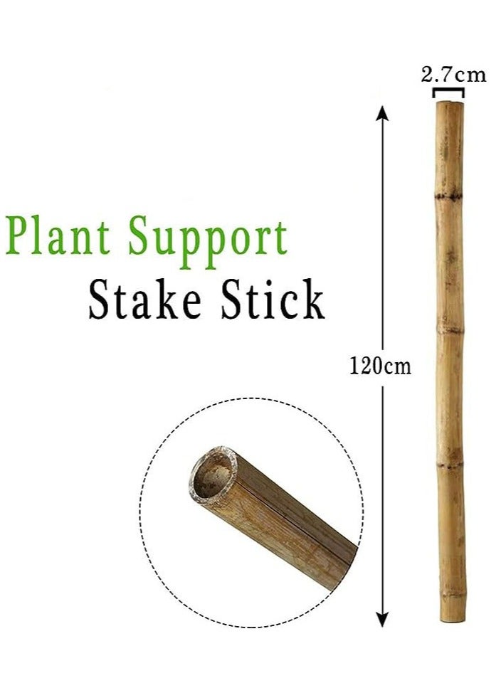 Generic FFD Bamboo Poles Bamboo Stake for Plant Support 120cm  - Image 2