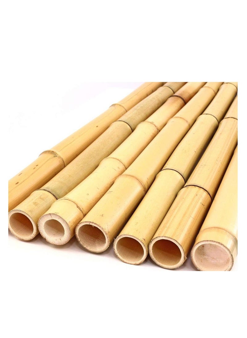 Generic FFD Bamboo Poles Bamboo Stake for Plant Support 120cm  - Image 3