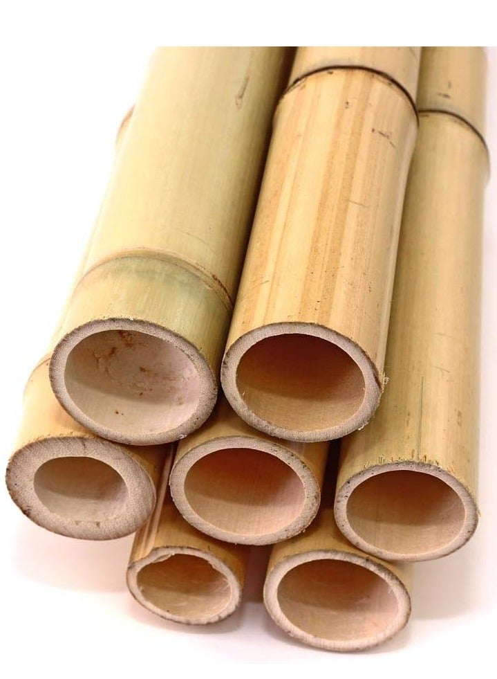 Generic FFD Bamboo Poles Bamboo Stake for Plant Support 120cm  - Image 4
