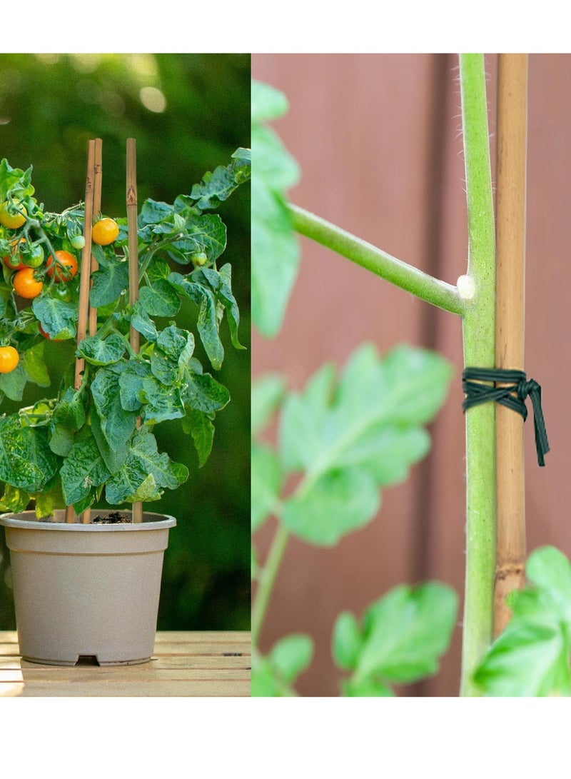 Generic FFD Bamboo Poles Bamboo Stake for Plant Support 120cm  - Image 5