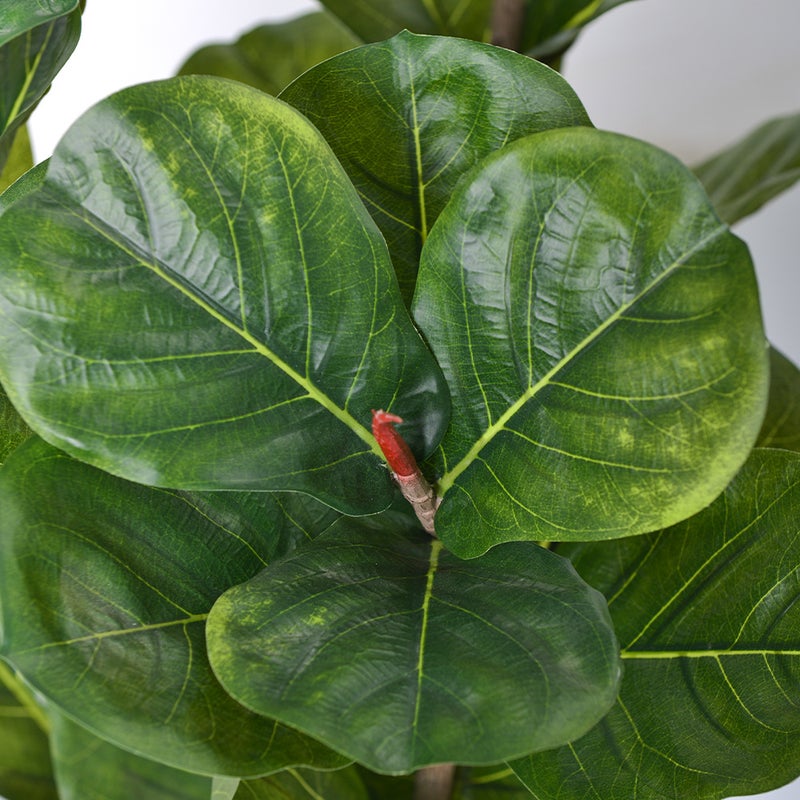 Sharpdo 210cm Artificial Fiddle-Leaf Fig, 15 Branches, 135 Leaves, Suitable for Office/Shopping Mall/Indoor/Outdoor Use - Image 3