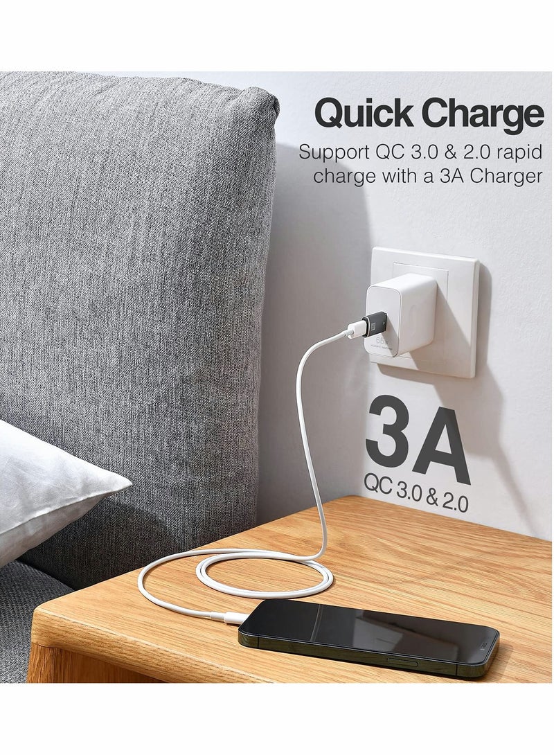 USB C Female to USB Male Adapter 10Gbps,  2 Pcs USB 3.1 A to USB C Adapter SuperSpeed Data Sync, Perfect Fit for iPhone 12 Mini/12 Pro Max/11 Pro Max, Type-C Earphone, Power Bank, Quest Link - Image 4