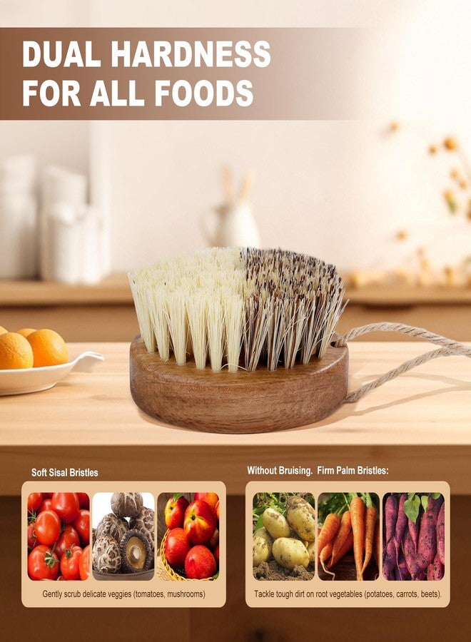 DEBETOOL 2 Pack Wooden Vegetable Brush Scrubber for Food - Dual Bristle Potato Brush Scrubber with Hanging Rope | Natural Compostable Kitchen Vegetable Scrubber for Potatoes, Carrots, Fruits - Image 4