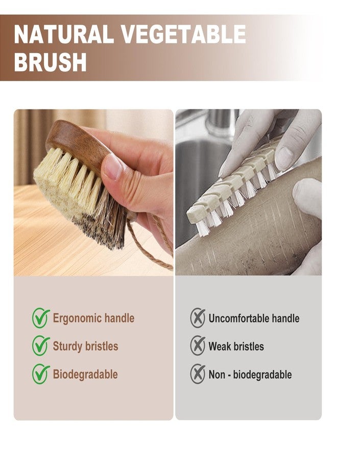 DEBETOOL 2 Pack Wooden Vegetable Brush Scrubber for Food - Dual Bristle Potato Brush Scrubber with Hanging Rope | Natural Compostable Kitchen Vegetable Scrubber for Potatoes, Carrots, Fruits - Image 3