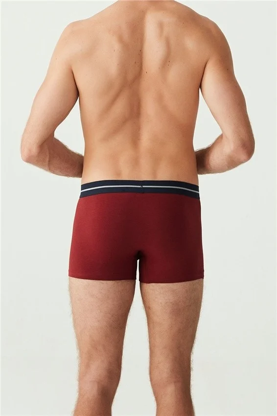 U.S. Polo Assn. Men's Claret Red - Navy Blue - Gray Melange 3-Pack Boxer