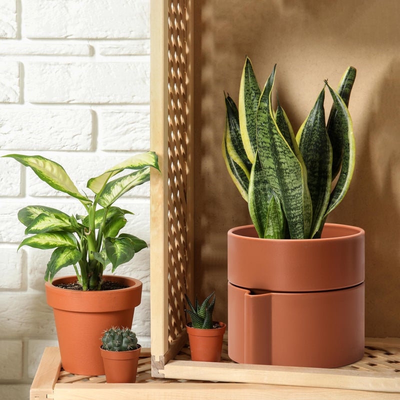 Phoenix Vine 8 Inch Self-Watering Planter Pot with Terracotta Insert, Deep Water Reservoir, and Ceramic-Alike BPA-Free Plastic Planter Pot for Plant, Modern Planter for Houseplants, Terracotta, 53-A-T-3 - Image 5
