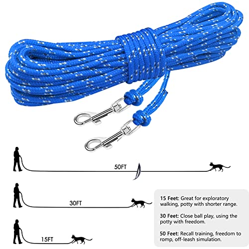 Rypet Reflective Cat Long Leash - 30 FT Escape Proof Walking Leads Yard Long Lead Durable Safe Personalized Extender Leash Traning Play Outdoor for Kitten, Puppy, Rabbit and Small Animals - Image 3
