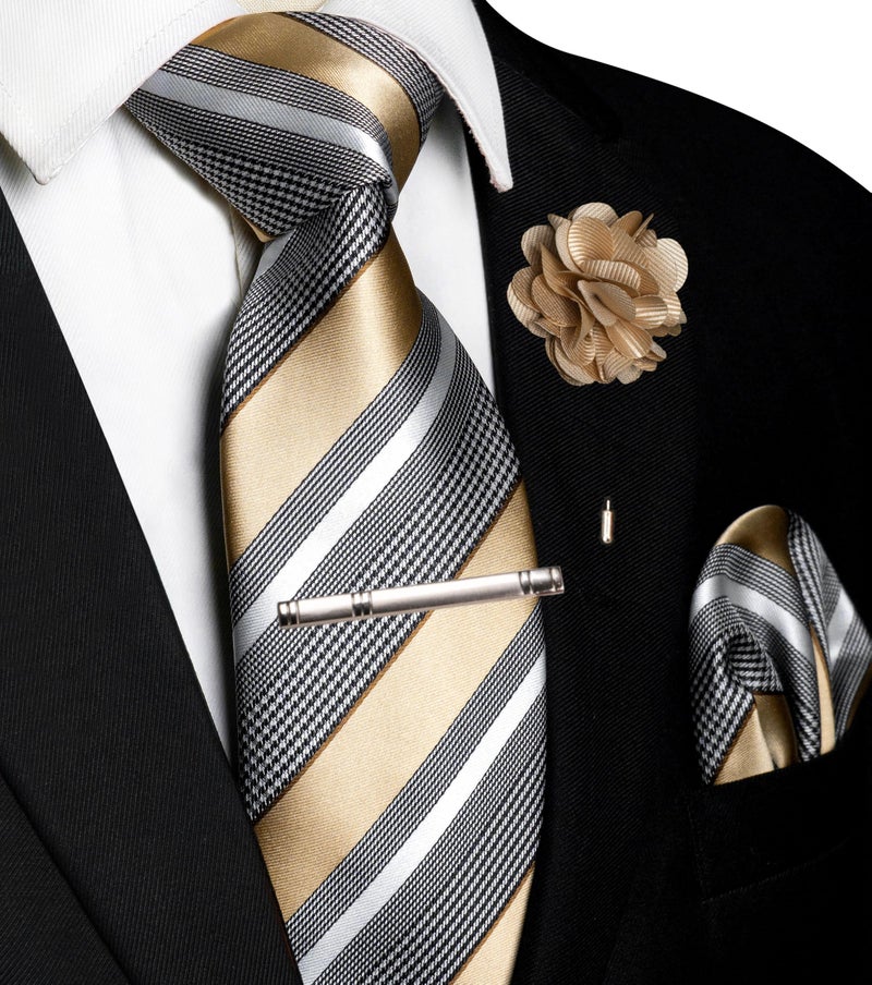 JEMYGINS Mens Champagne Striped Tie and Lapel Pin Necktie Pocket Square and Tie Clip Sets for Business Casual(15) - Image 2