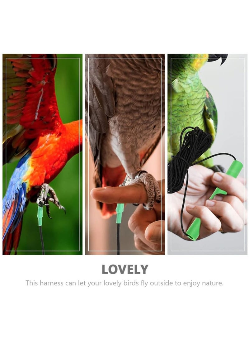 KASTWAVE Bird Training Leash, 2 Pcs Adjustable Parrot Flying Strap Rope Universal Flying Traction Lead Durable Outing Gadget Outdoor Training Toy - Image 4