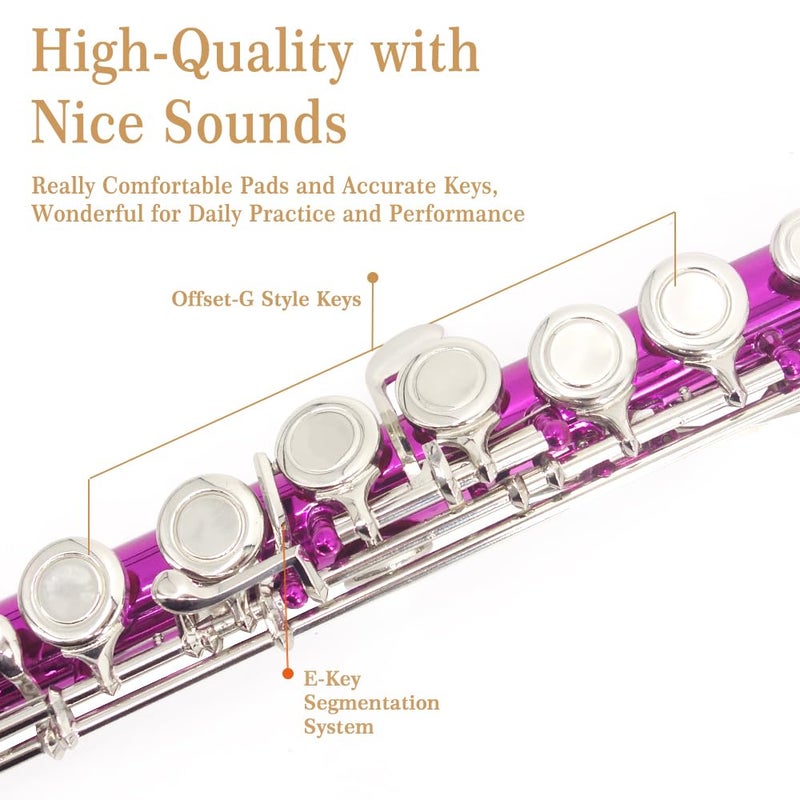 YANASON Pink C Flute Closed Hole 16 Keys Flute Nickel-Plated for Beginner, Student and Professionals with Carrying case, Metal stand, Gloves, Tuning Rod, Cleaning kit(Pink) - Image 3