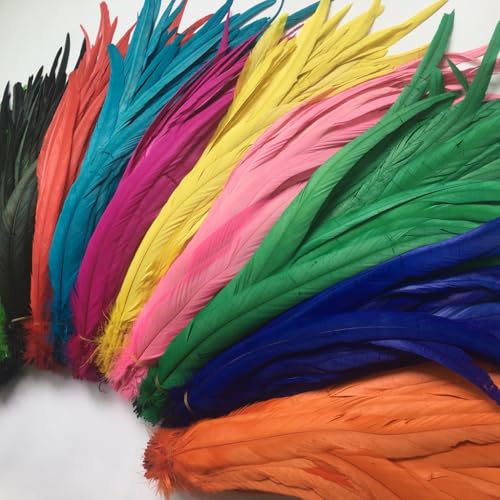 Sowder Red Rooster Coque Tail Feathers 12-14inch Lengh Pack of 50 - Image 5