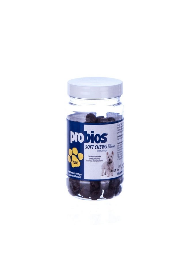Probios - For Dogs Soft Chews  Probiotics For Dogs, 240Gm - Image 1
