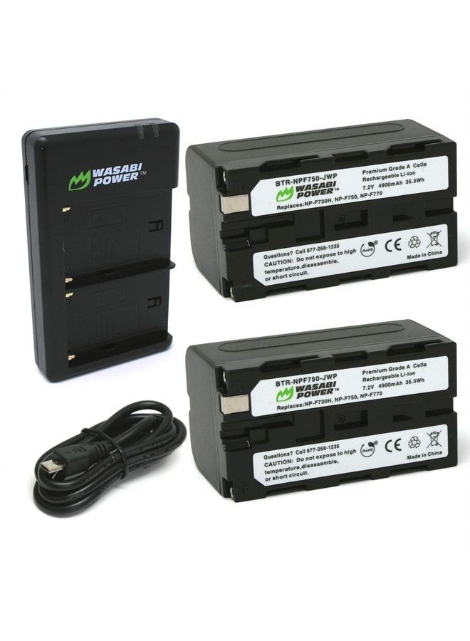 Battery (2-Pack) and Dual Charger for Sony NP-F730, NP-F750, NP-F760, NP-F770 (L Series)